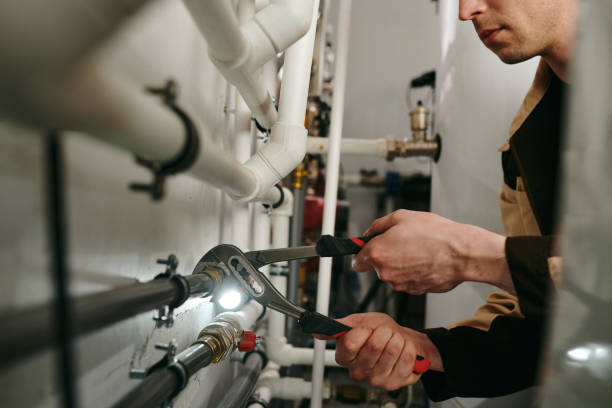 Best Same-Day Plumbing Service  in Willard, OH